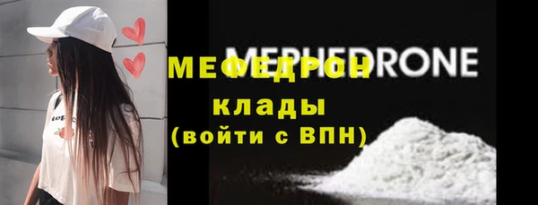 индика Бородино