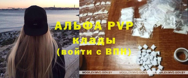 индика Бородино