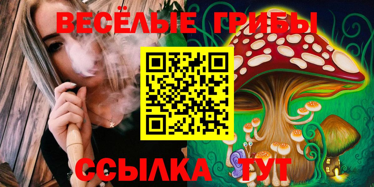 Галлюциногенные грибы Cubensis Рузаевка